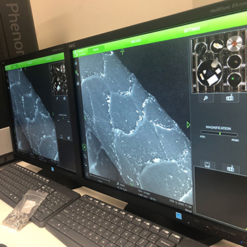 The Scanning Electron Microscope in Use